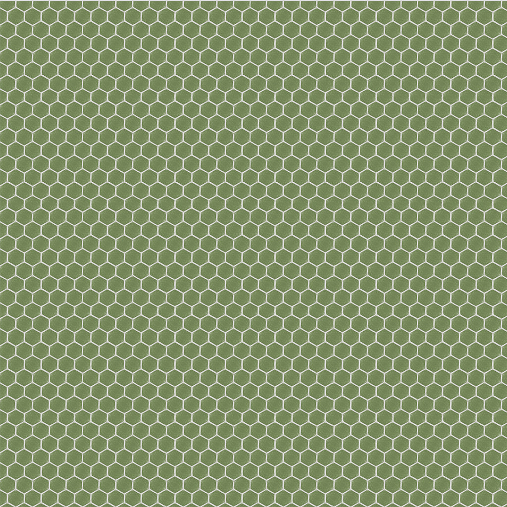 Afternoon in the garden