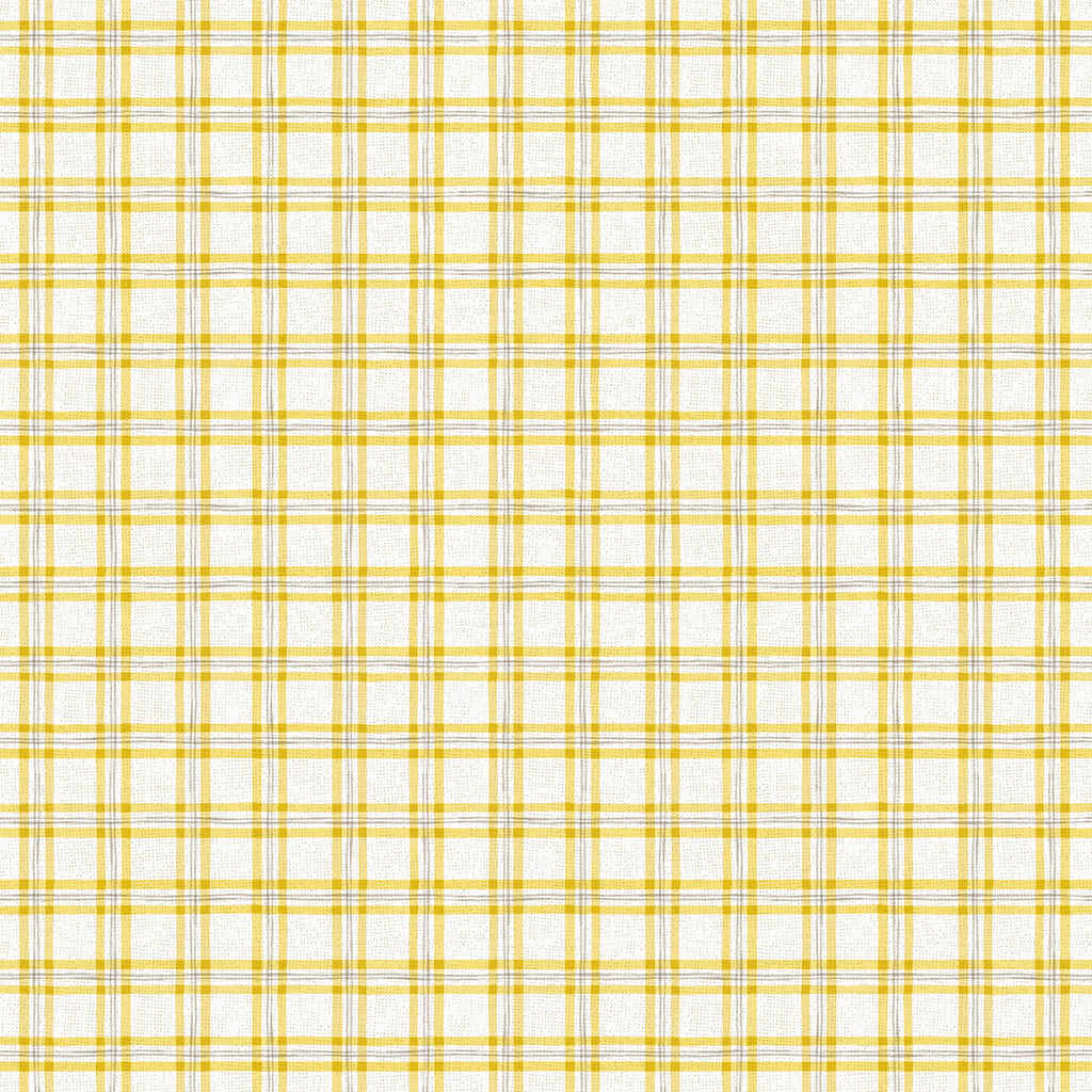 Afternoon garden ruit