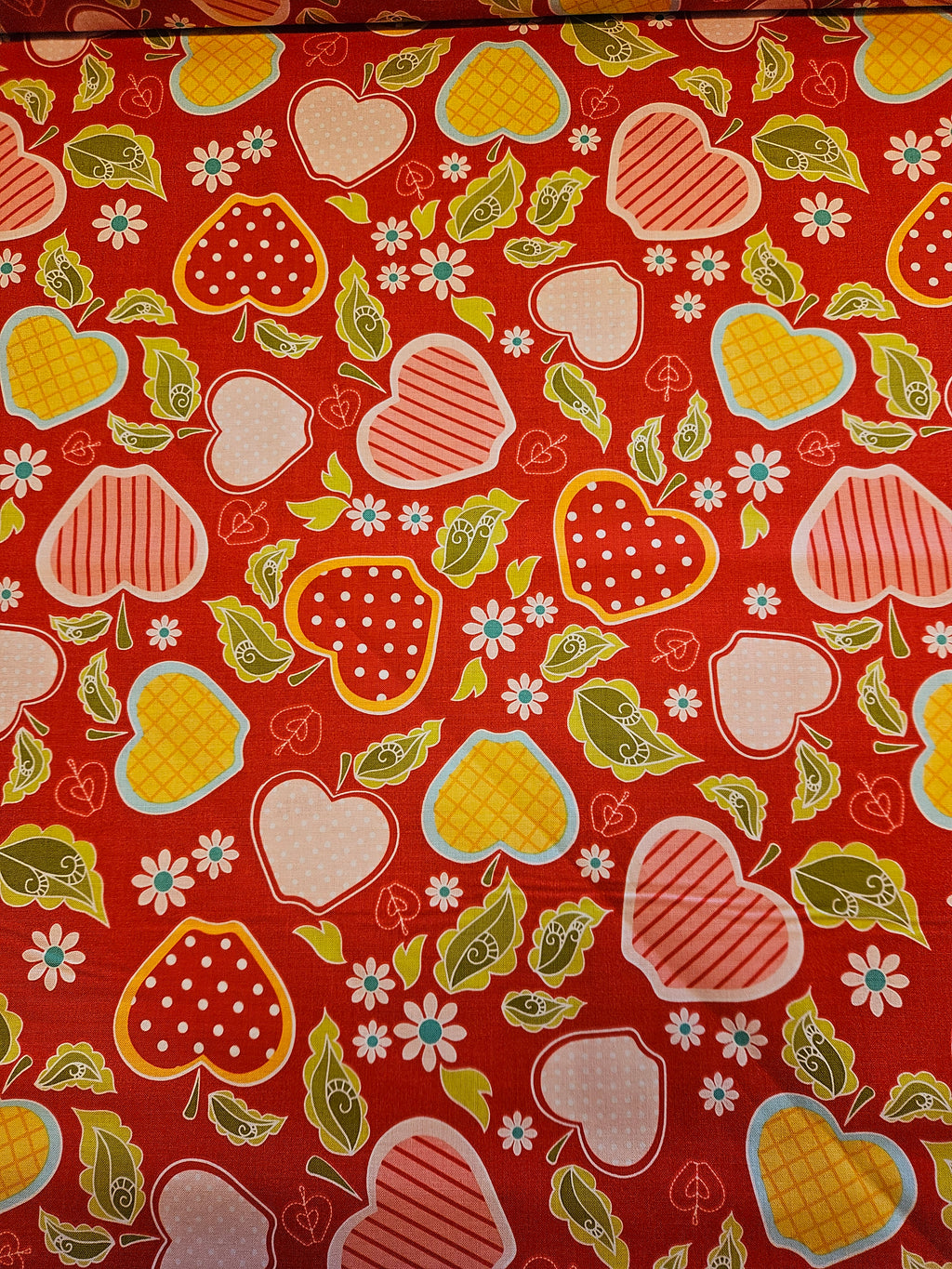 Apple of My Eye Quiltstof – Riley Blake Designs (C2891)