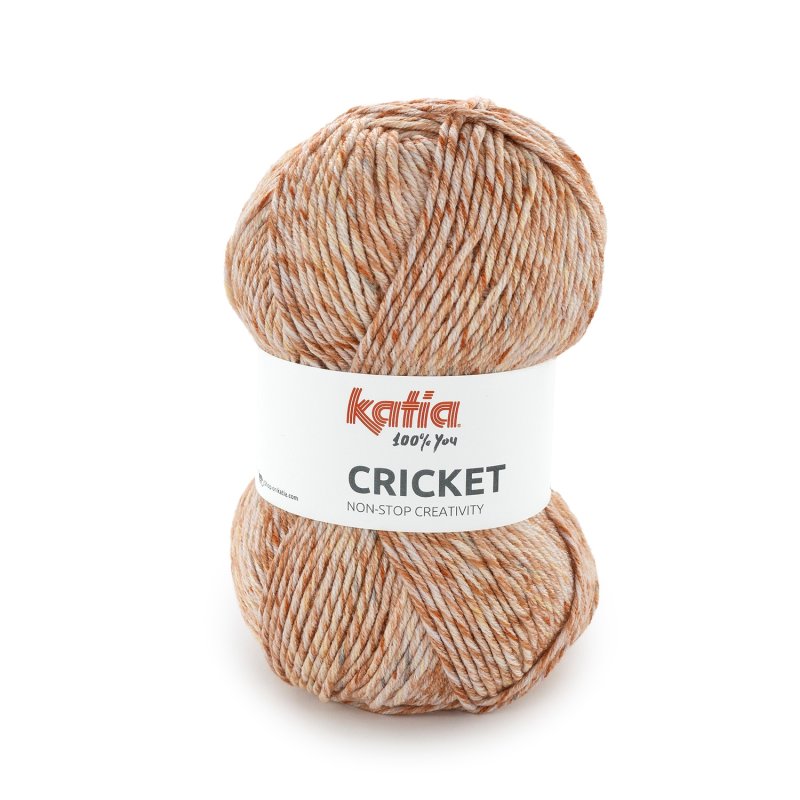 Veelkleurig acryl garen Katia Cricket
