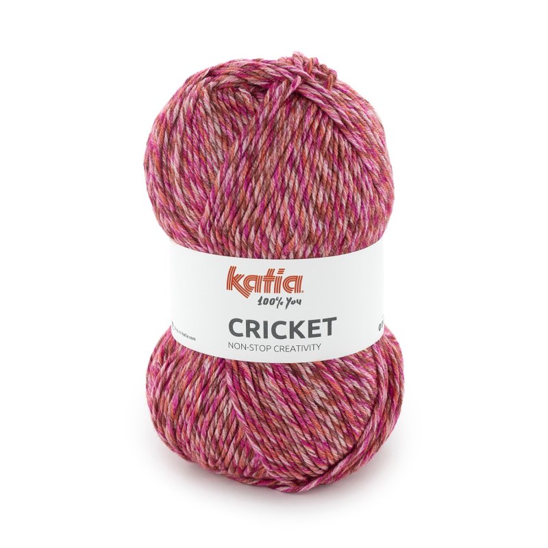 Veelkleurig acryl garen Katia Cricket