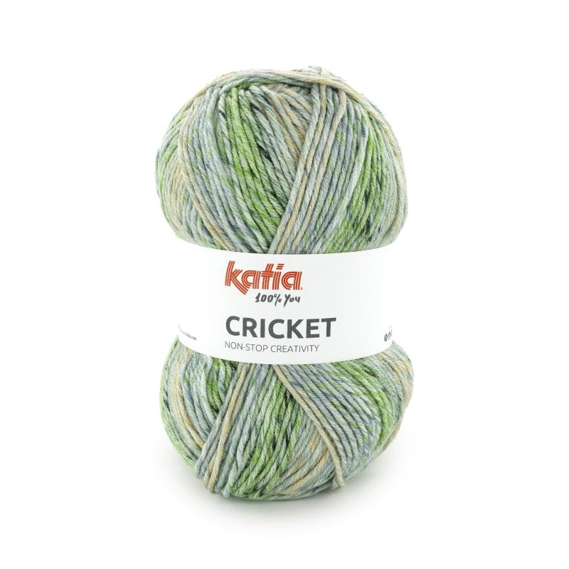 Veelkleurig acryl garen Katia Cricket